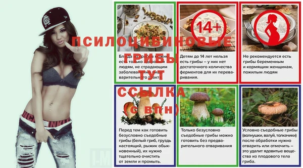 прущие грибы Армянск