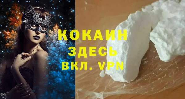 прущие грибы Армянск